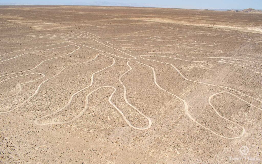 lineas de nazca