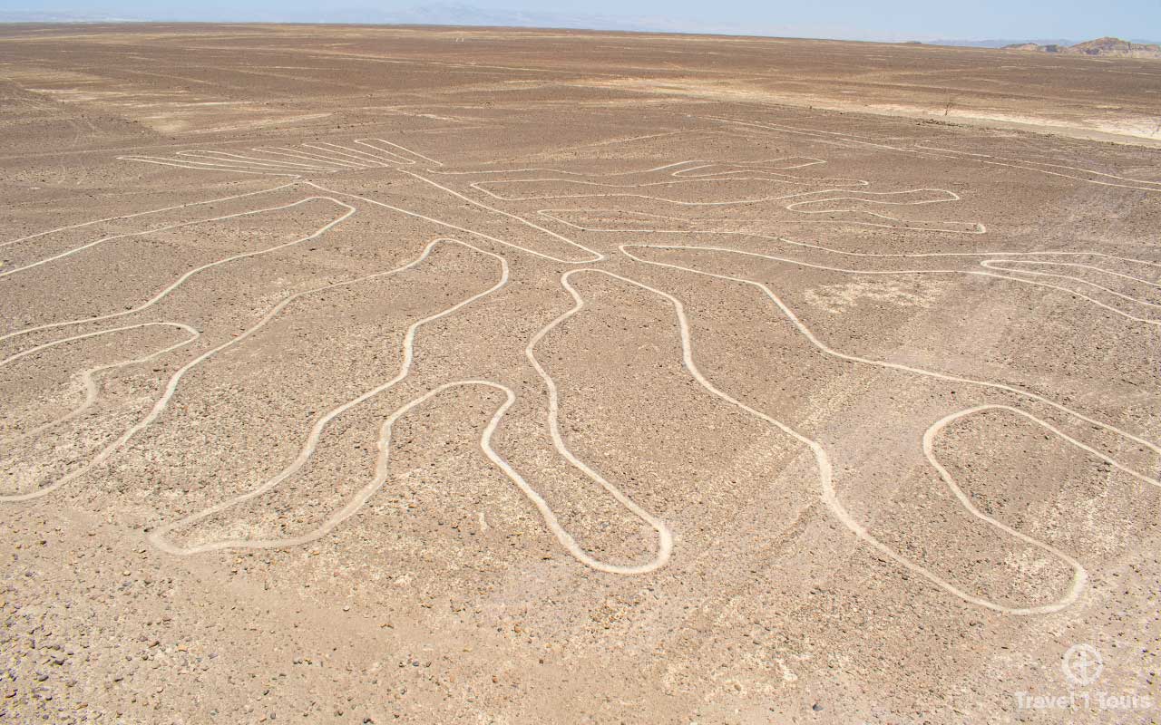 lineas de nazca