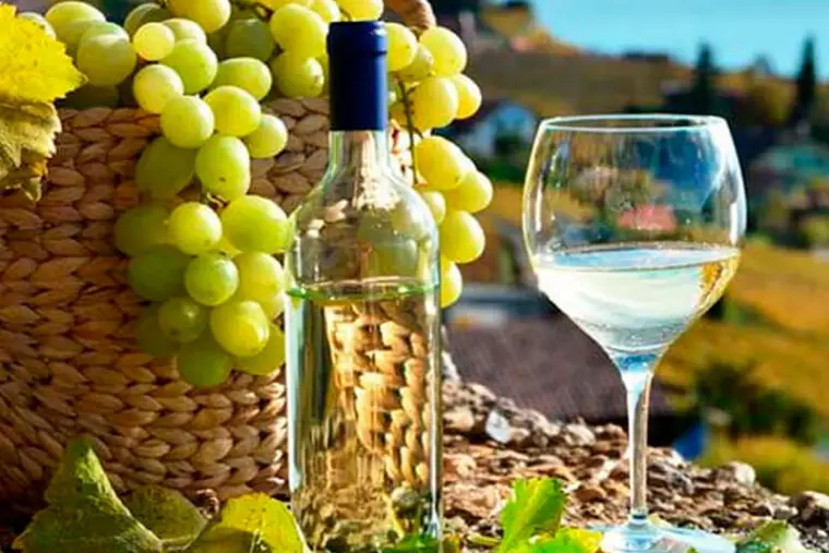 el pisco peruano esta en nuestro pais