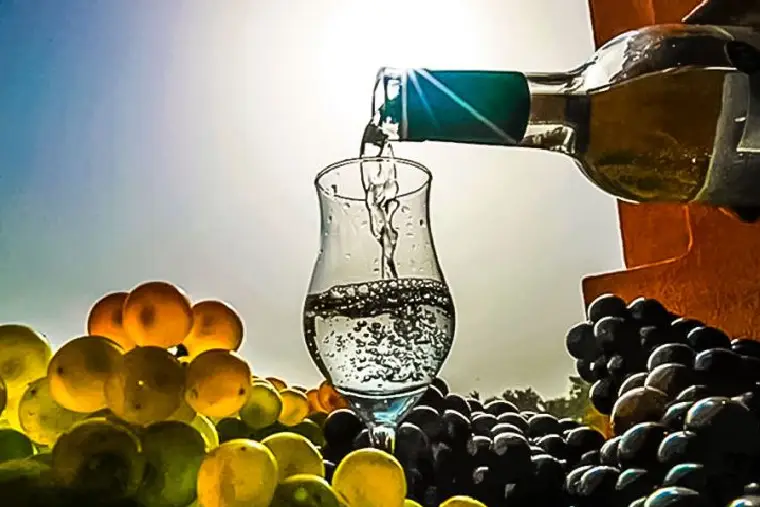 pisco peruano a la orden