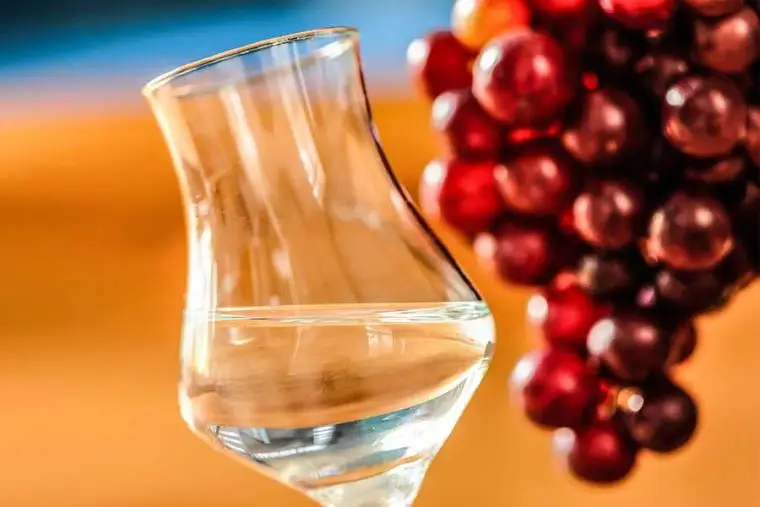 pisco peruano delicia del paladar