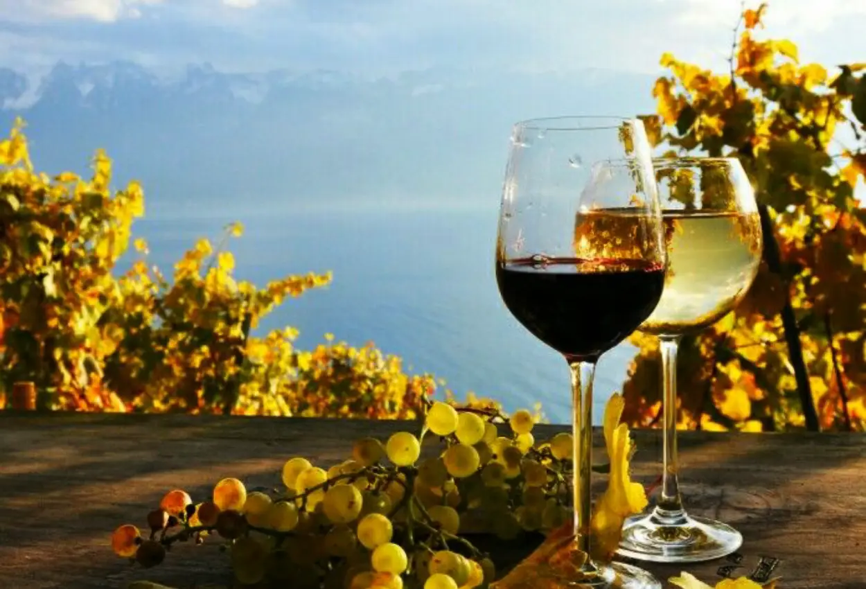vino-hecho-en-peru