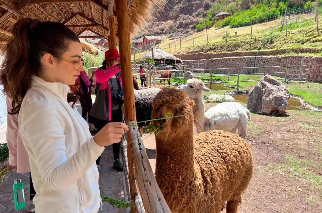 Turismo vivencial en el Valle Sagrado: experiencias auténticas con comunidades andinas - Turismo Vivencial Turismo Vivencial