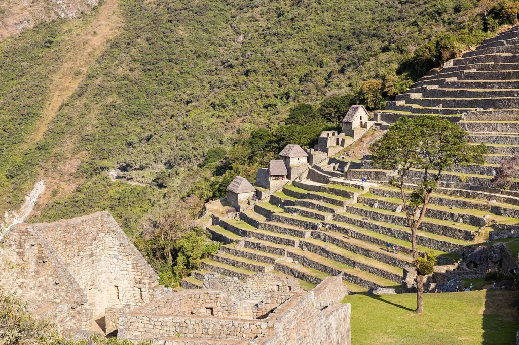 Machu Picchu Citadel: Circuits, Attractions, and Tips for Your 2026 Visit - andenes agricolas Andenes agricolas