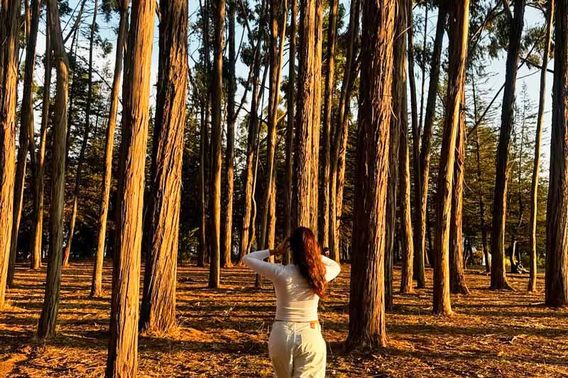 Traveling alone to Peru: experience, tips, and what to expect - Cusco Cusco lugares que visitas por tu cuenta libre