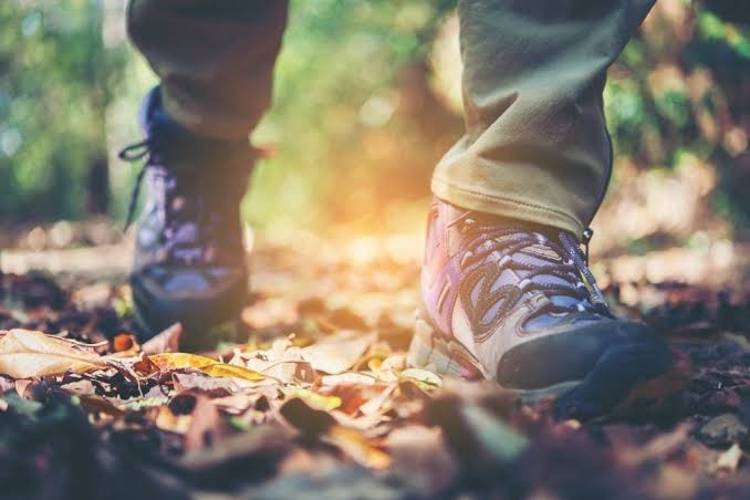Trekking footwear